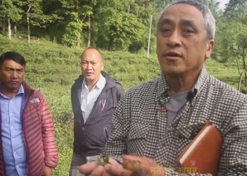 झन्डै १०० वर्ष पुरानो चियाको बोट, एकै पेशाबाट मनग्य आम्दानी गर्छन नरेन्द्र कुमार गुरुङ (हेर्नुहोस भिडियो)