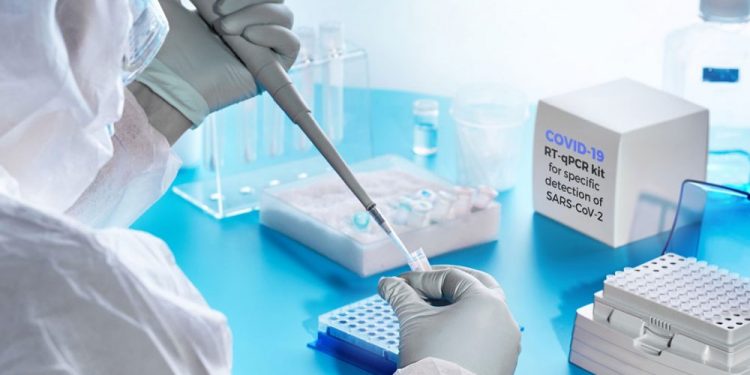 सुनापति गाउँपालिकामा तिब्र रुपमा बढ्दै कोरोना संक्रमित, यस्तो छ स्थानिय सरकारको तयारी