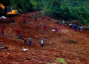 सुनापतिमा चिया खेतीको लागि भब्य तयारी, हर्षित कृषक