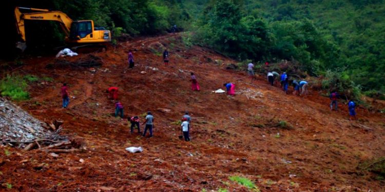 सुनापतिमा चिया खेतीको लागि भब्य तयारी, हर्षित कृषक