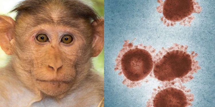 १२ देशमा मङ्कीपक्स रोगका ८०केस पुष्टि