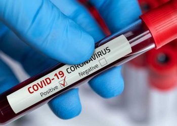 १३ जनामा कोरोना संक्रमण पुष्टि, मृत्यु संख्या शून्य