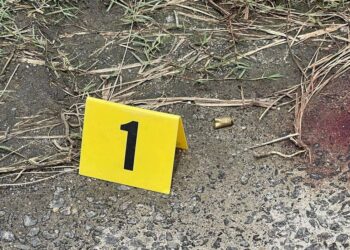 सप्तरीमा गोली हानेर पुजारीको हत्या