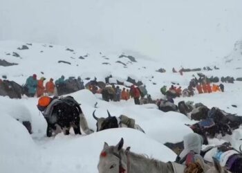 सगरमाथा नजिकै फसेका करिब हजार पर्वतारोही सकुशल उद्धार